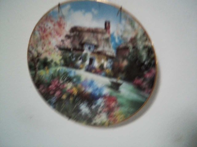 wheel barrel in garden.jpg