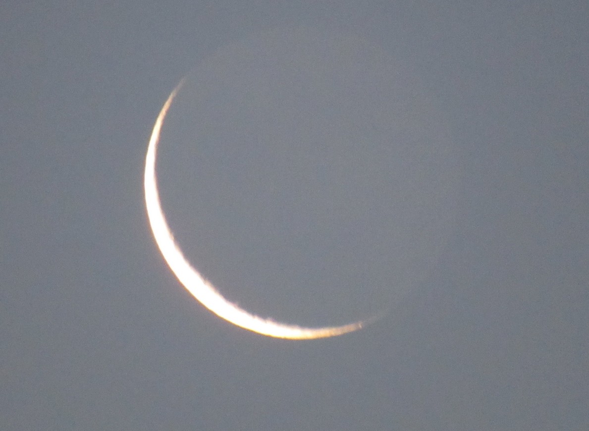 winter moon.jpg