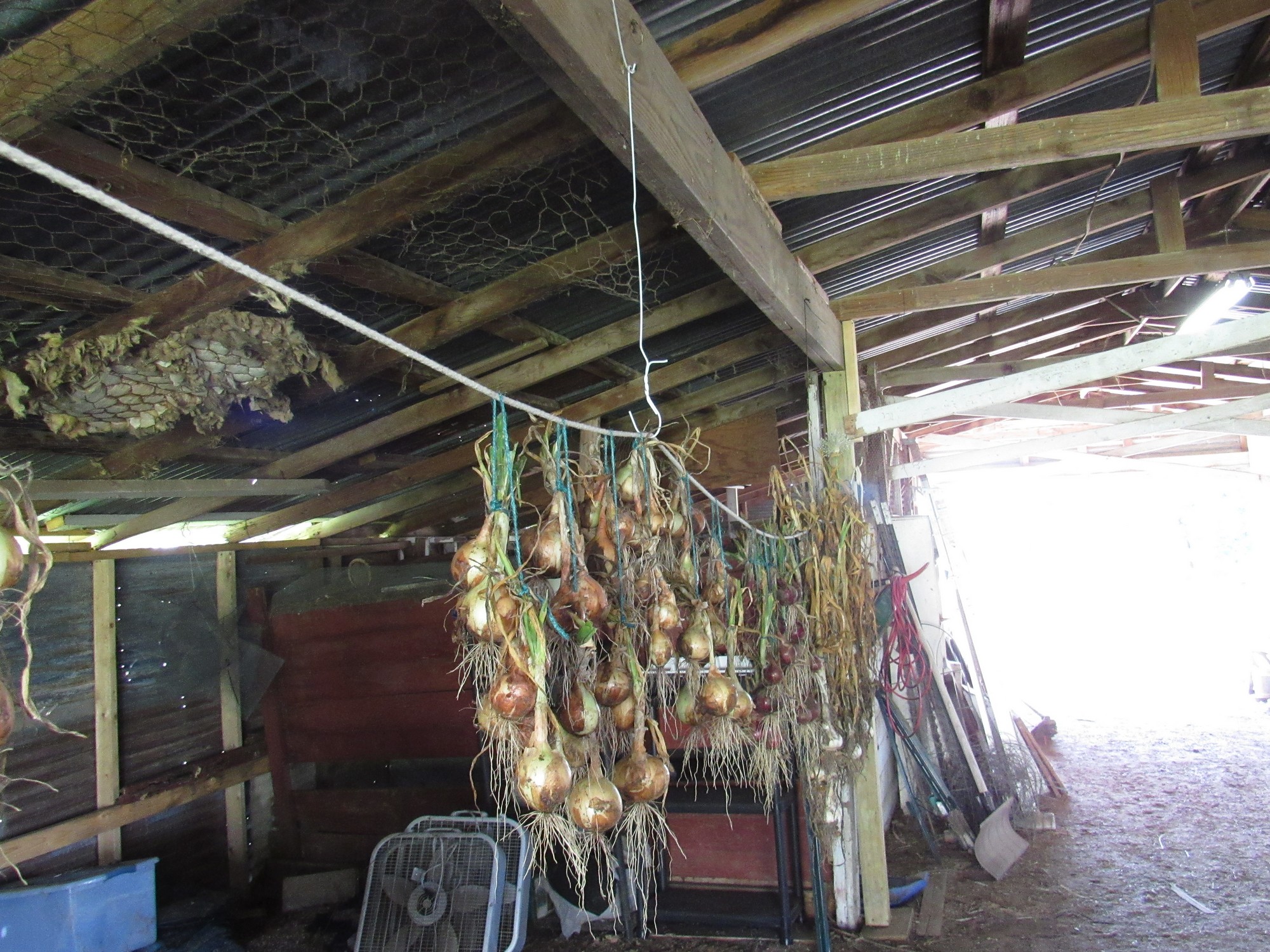 Wire support.jpg