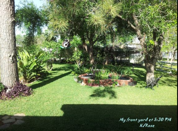 Wonderful.shade.late.afternoon.3.000.jpg