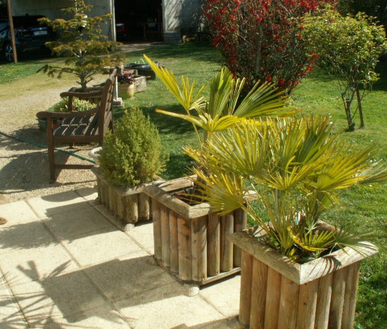 wooden flower boxes.JPG