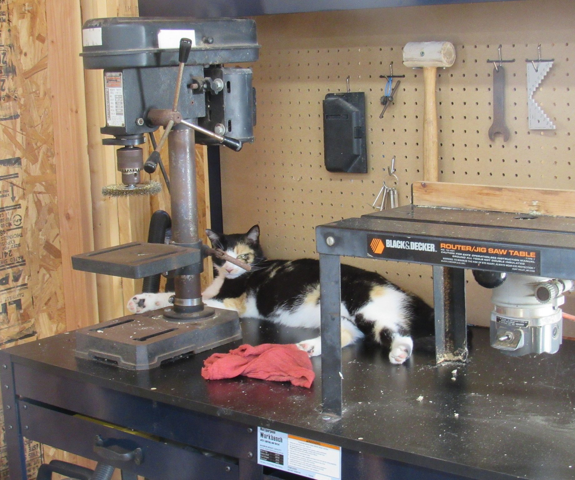 Woodworking Cali.jpg