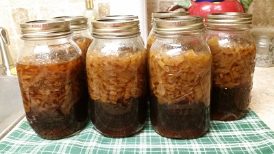 xcanned french onion soup.jpg
