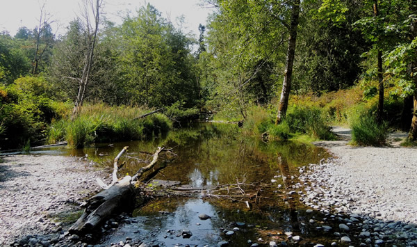 z goldstream river.jpg