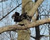 DSCN2318.JPG