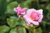 DSC01280.JPG