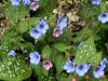 2007_04210092.JPG