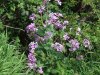 2007_04220004.JPG