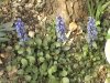 2007_05010003.JPG