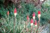 2007_05060002.JPG