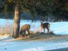 DSCN3318.JPG