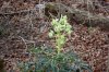 DSC01708.JPG