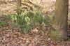 DSC01711.JPG