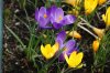 DSC01686.JPG