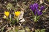 DSC01688.JPG