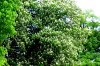 2007_05060050.JPG