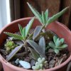 2015-03-05 017.JPG