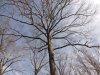 DSCN2490.JPG