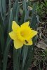 DSCN2577.JPG