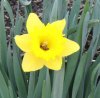 DSCN2585.JPG
