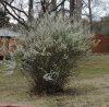 DSCN2651.JPG