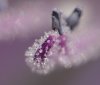 IMG_1982 - Copy.JPG