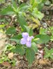 20170608_103238.jpg