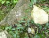 20170608_144418.jpg
