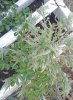 20170703_164720.jpg