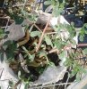20170703_165341.jpg