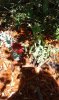 20170705_124126.jpg