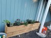 20170511_183947.jpg