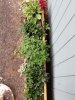 20170713_173002.jpg