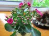 31th July 2017 0210.jpg