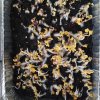 Microgreens.jpg