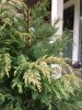 8ACD7475-6C91-4254-AB02-C40DDA15D053.jpeg