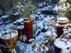 DSC_0028.jpg