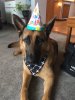 2nd birthday photo.jpg