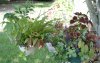 2018-06-23 035.JPG