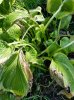 20180807_105435.jpg