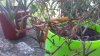20181028_174950.jpg