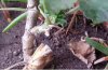 20181030_111545.jpg