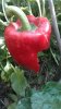 20180824_134906.jpg