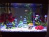 full view of tank finished.jpg