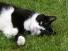 Tippy0068.jpg