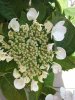 20180804_154334.jpg