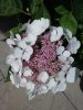 20180804_154320.jpg
