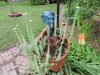 DSCN2926.JPG