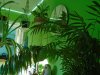 DSC00858 A.JPG