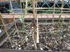 IMG_20220319_161221.jpg